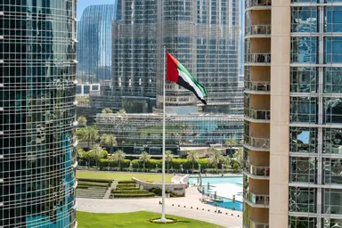 13_Downtown_UAE-Flag-View